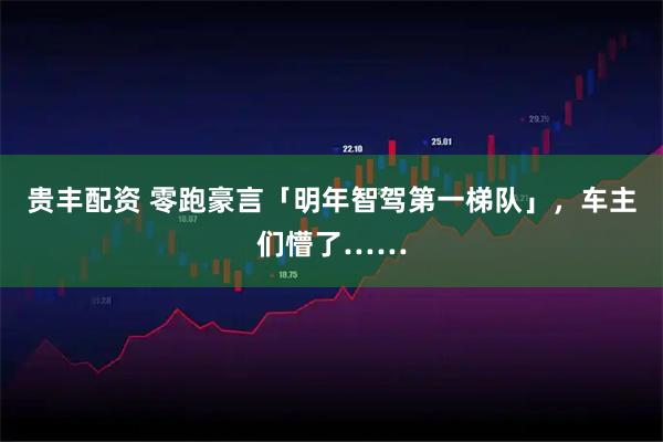 贵丰配资 零跑豪言「明年智驾第一梯队」，车主们懵了……