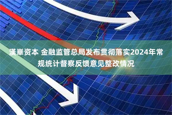 漢崋资本 金融监管总局发布贯彻落实2024年常规统计督察反馈意见整改情况
