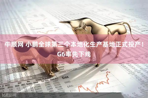 牛顺网 小鹏全球第三个本地化生产基地正式投产！G6率先下线